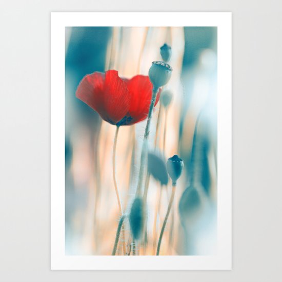 Poppies(radiance). Art Print