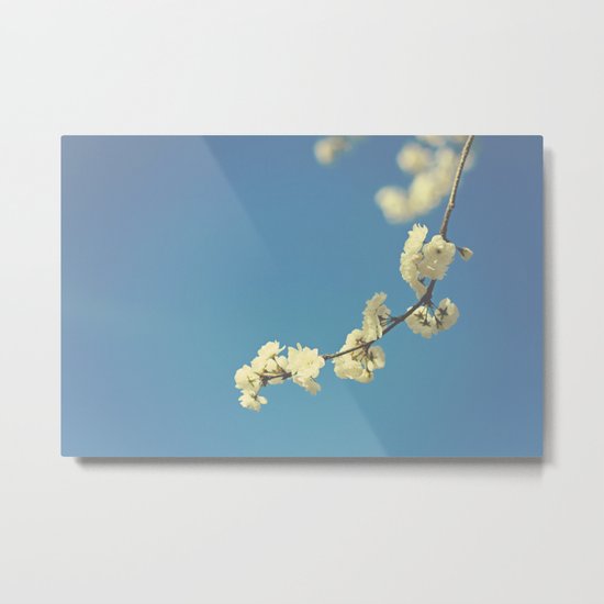 My Vintage blue sky Metal Print