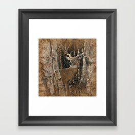 Deer - Birchwood Buck Framed Art Print