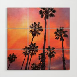 California sunset Palm tree rows in Santa Barbara Wood Wall Art