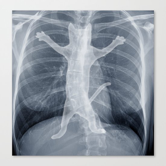x-ray Canvas Print