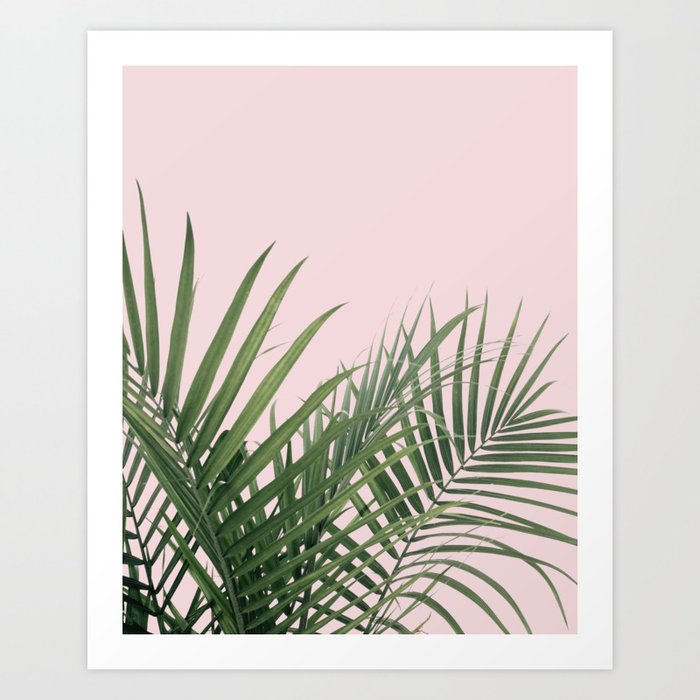 Palm Leaves in Pink Art Print