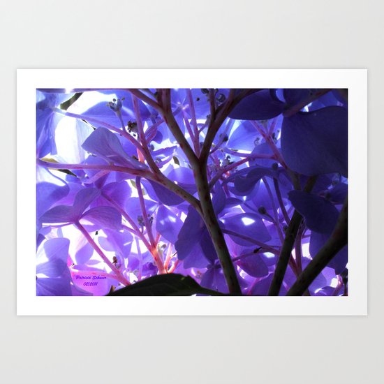 Avitar 2 Art Print