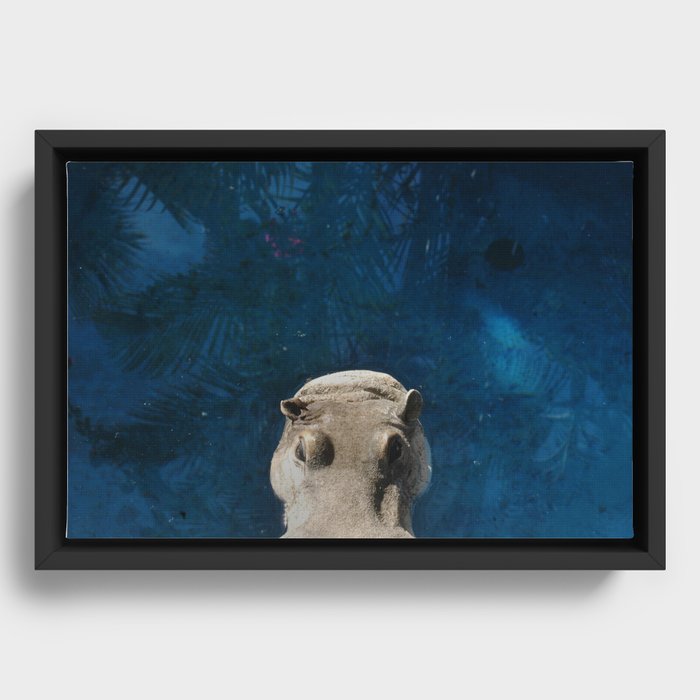 Hippo on the Tropic of Capricorn  Framed Canvas