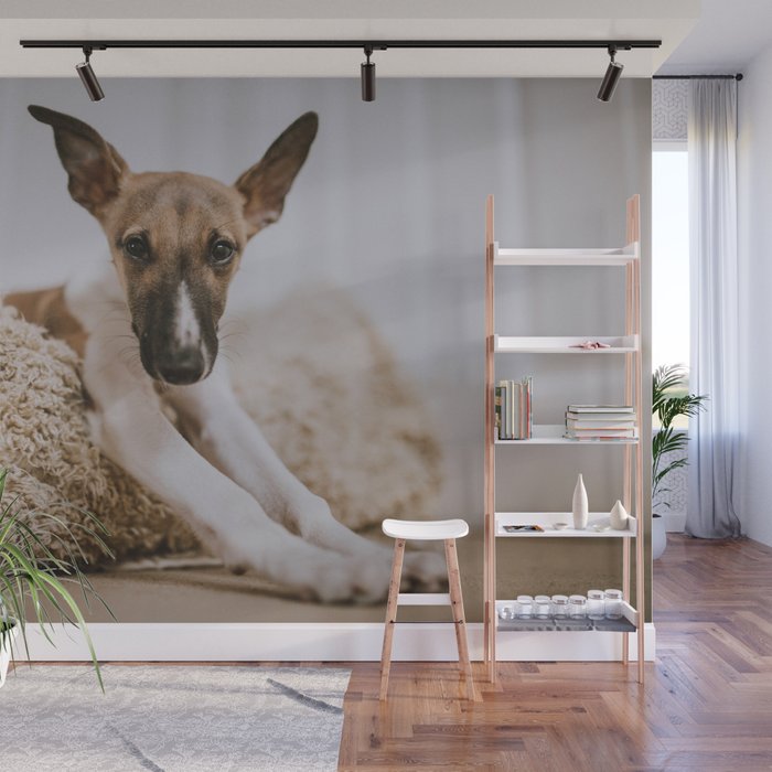Cute Puppy by Mitchell Orr Wall Mural