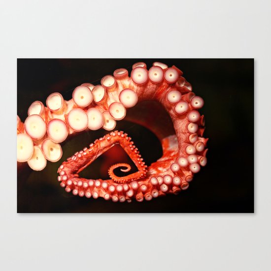 stuck on you Canvas Print