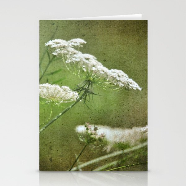 Queen Ann's Lace Stationery Cards