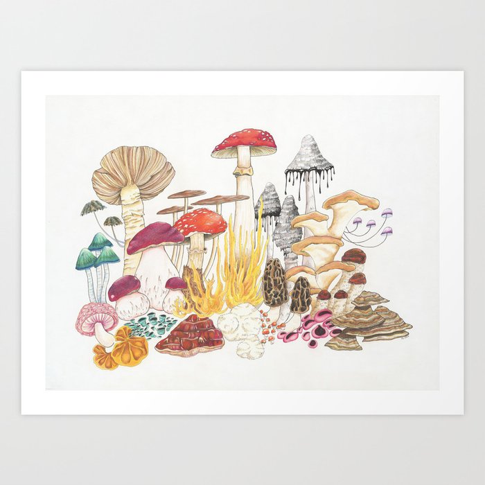 Mushroom World Art Print