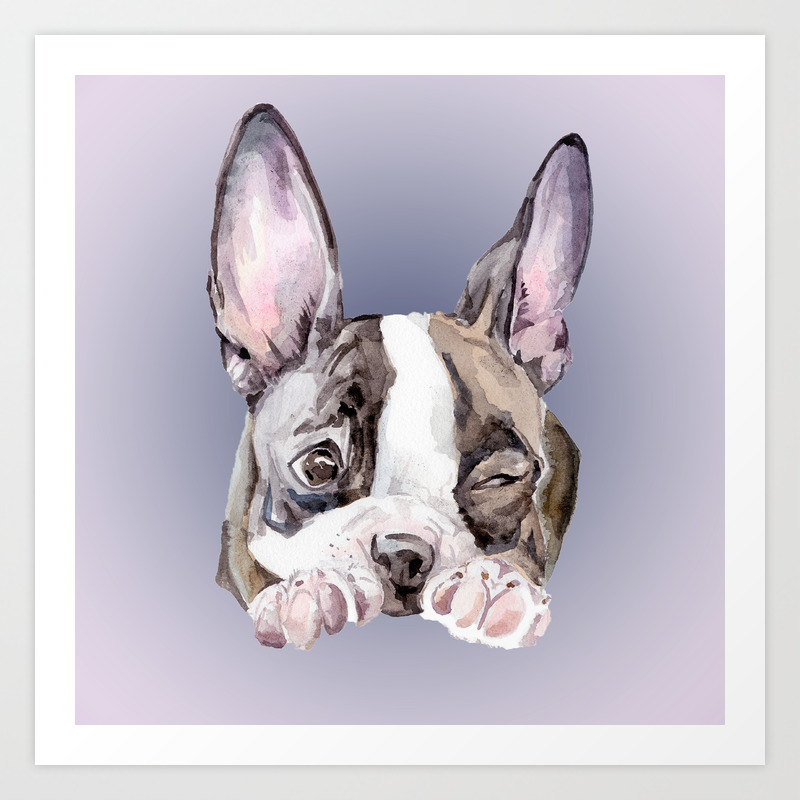 Boston Terrier Dog Watercolor Painting Art Print By Wanderinglaur Society6