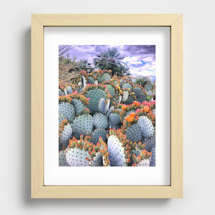 Arizona Blooming Cacti Recessed Framed Print