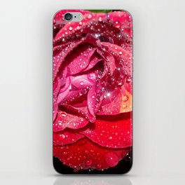 Rose Red iPhone Skin