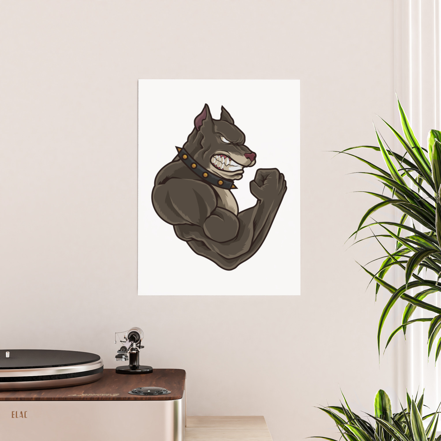 society6