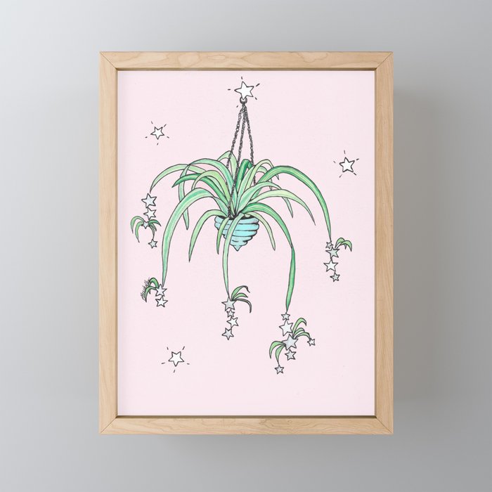Star Spider House Plant Framed Mini Art Print