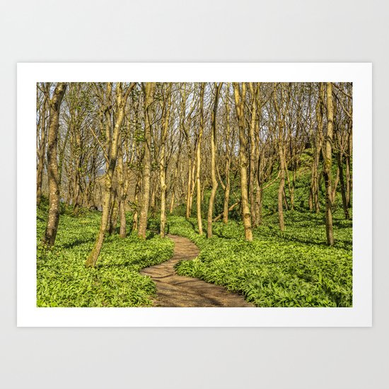 Forest trail Art Print