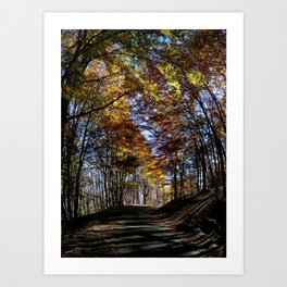Autumn colours Art Print