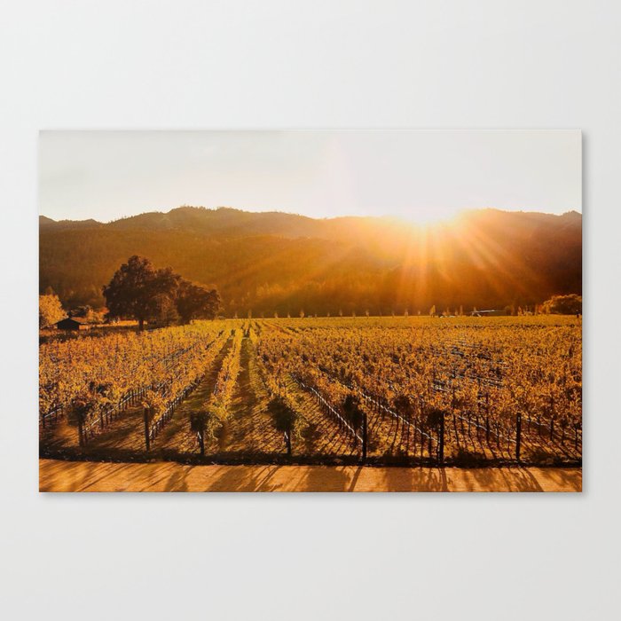 Canvas Print
