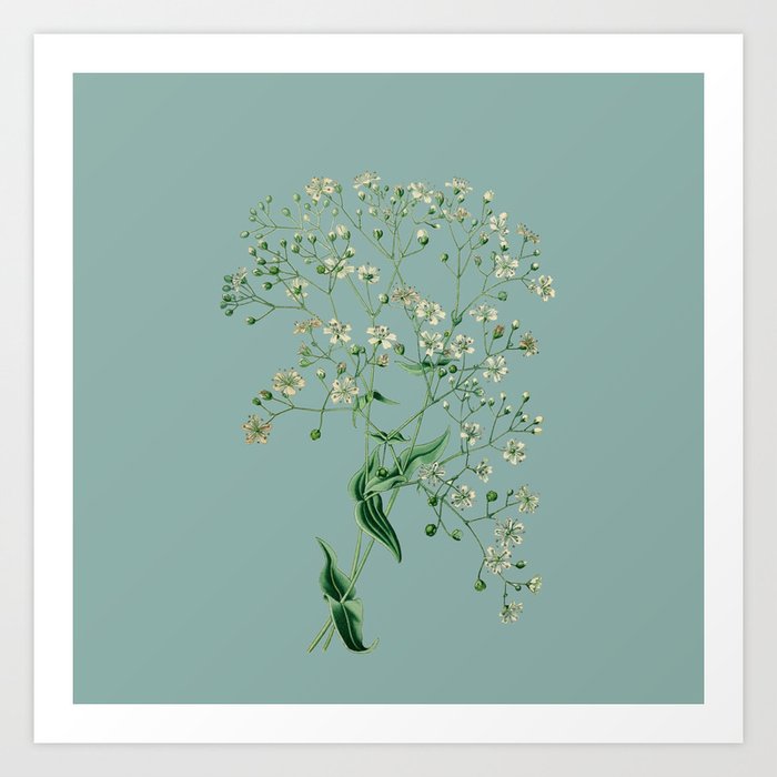 Vintage Aesthetic White Flower on a Green Background Art Print