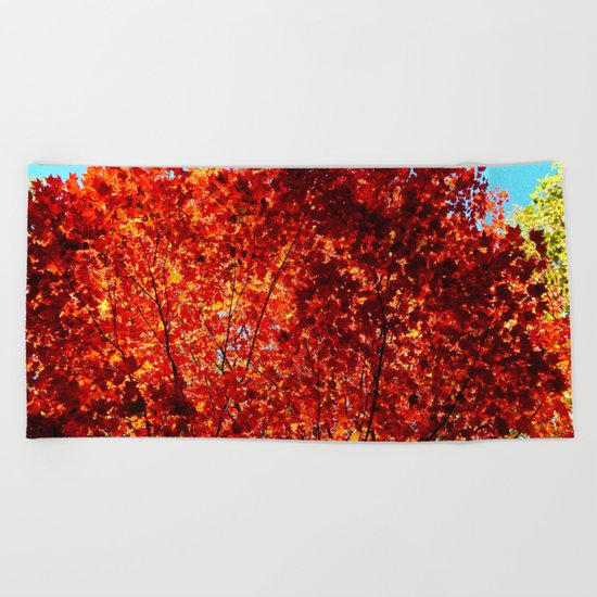 Red Maple Explosion Beach Towel