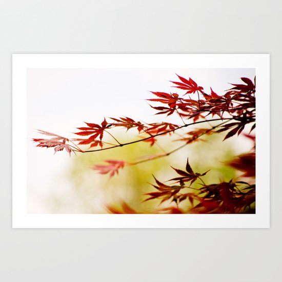 red.green.white. Art Print
