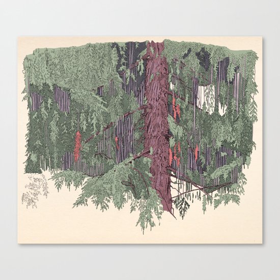 Weeping Cedar Canvas Print