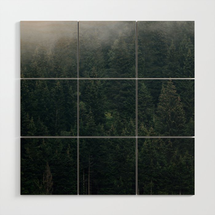 Mystic Pines - A Forest in the Fog Wood Wall Art