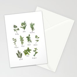 HERBS on white Stationery Cards