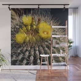 Mexico Photography - Beautiful Barrel Cactus Up-Close Wall Mural