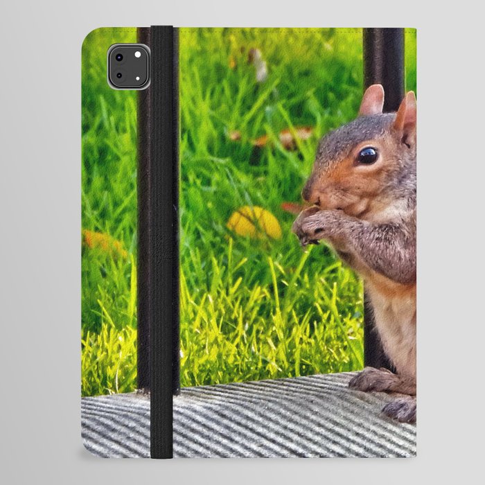 Hungry Squirrel iPad Folio Case