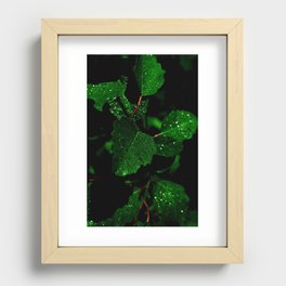 the Hydrosphere Recessed Framed Print