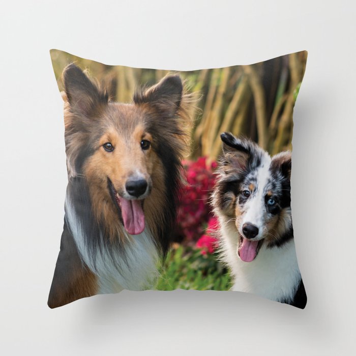 Cute sheltie dogs Throw Pillow