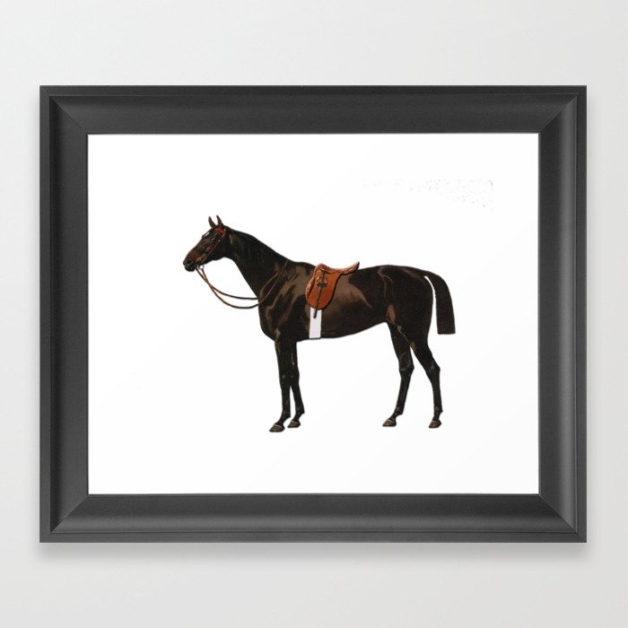 Vintage equestrian horse sketche decor Framed Art Print