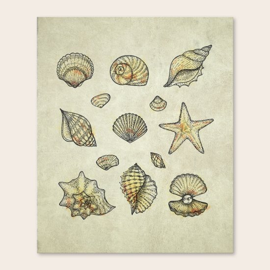 Seashells Canvas Print
