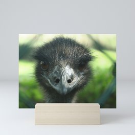 Eye to eye with an ostrich Mini Art Print