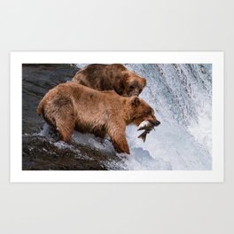 Brown Bear Catching Fish - Alaska Art Print