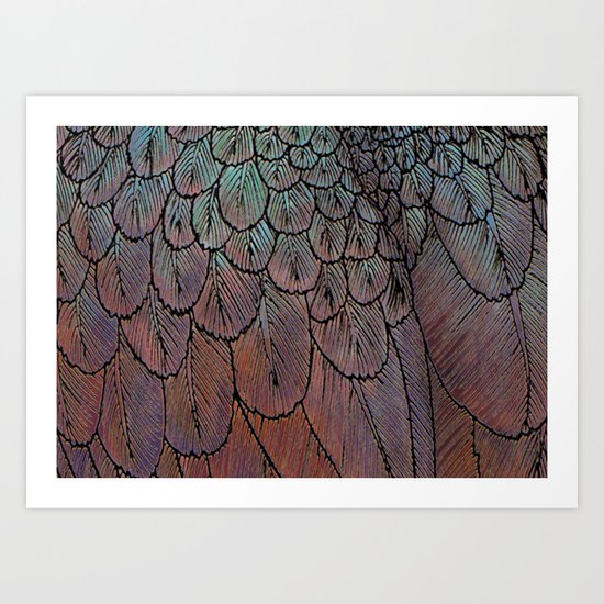 Feather Detail Art Print