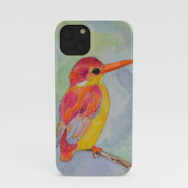 Rufous-backed Kingfisher iPhone Case