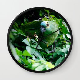 Brazil Photography - Green Parrot Camouflaged In The Green Leaves Wall Clock