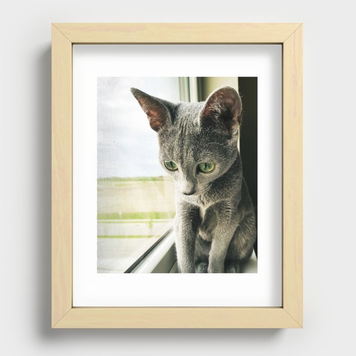 Grass Eyes Recessed Framed Print