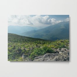 Summer in the Great Gulf Wilderness Metal Print