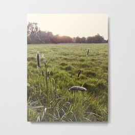 Marsh Meadows Metal Print | Grassland, Green, Ruralengland, Field, Depthoffield, Distance, Britain, Horizon, Countryside, Garden 