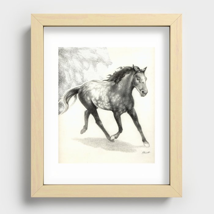 Appaloosa Stallion Recessed Framed Print