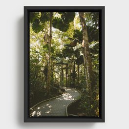 Daintree Rainforest III Framed Canvas