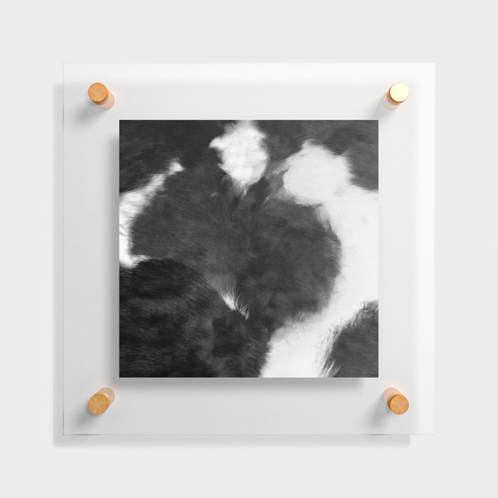 Black and White Primitive Scandinavian Cowhide Floating Acrylic Print