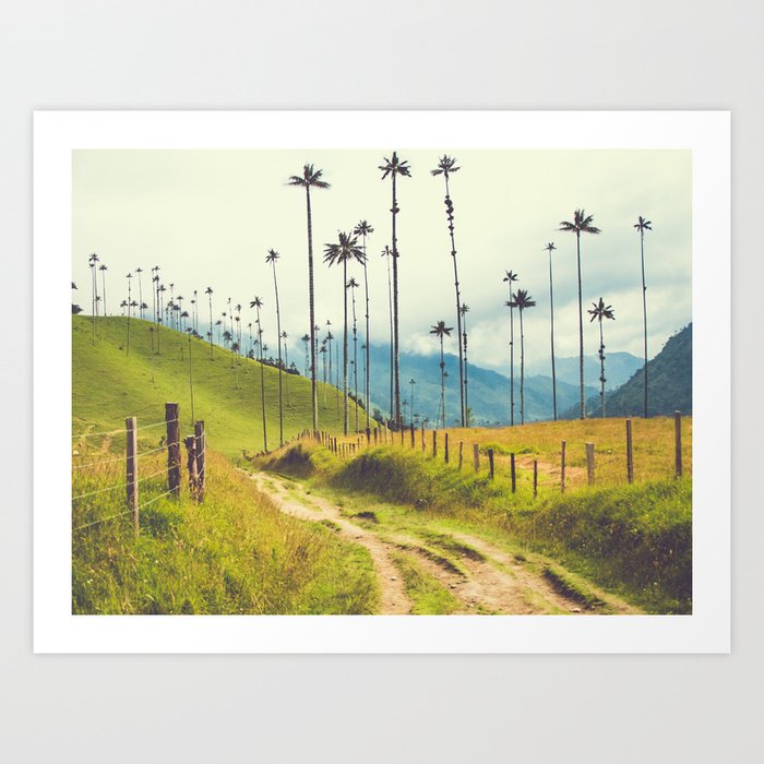 Wax Palms Tower over Colombian Coffee Plantation Fine Art Print Art Print