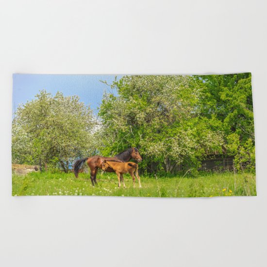 Foal Horse Baby Beach Towel