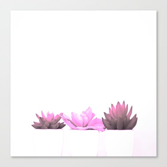 Pink Cactus Canvas Print