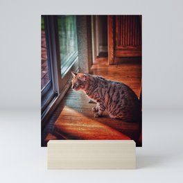 Cat in a House Mini Art Print