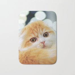 Young Scottish Fold cat Bath Mat | Eyes, Long Haired, Longhair, Looking, Animal, Relaxed, Cat, Fur, Funny, Domestic 