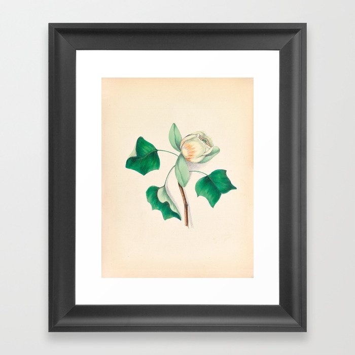 Framed Art Print