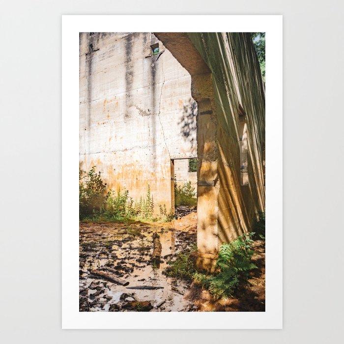 Ruins in the Forest Art Print